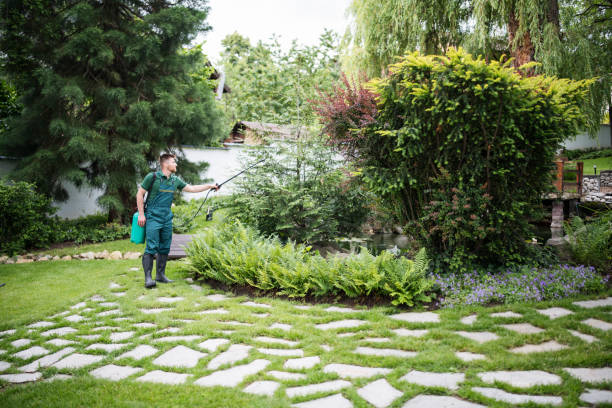 Professional Tree Services in Cokato, MN